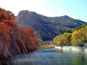 澳门二四六天天彩图库，龙神诀